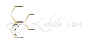 l'abeille noire favicon (3)